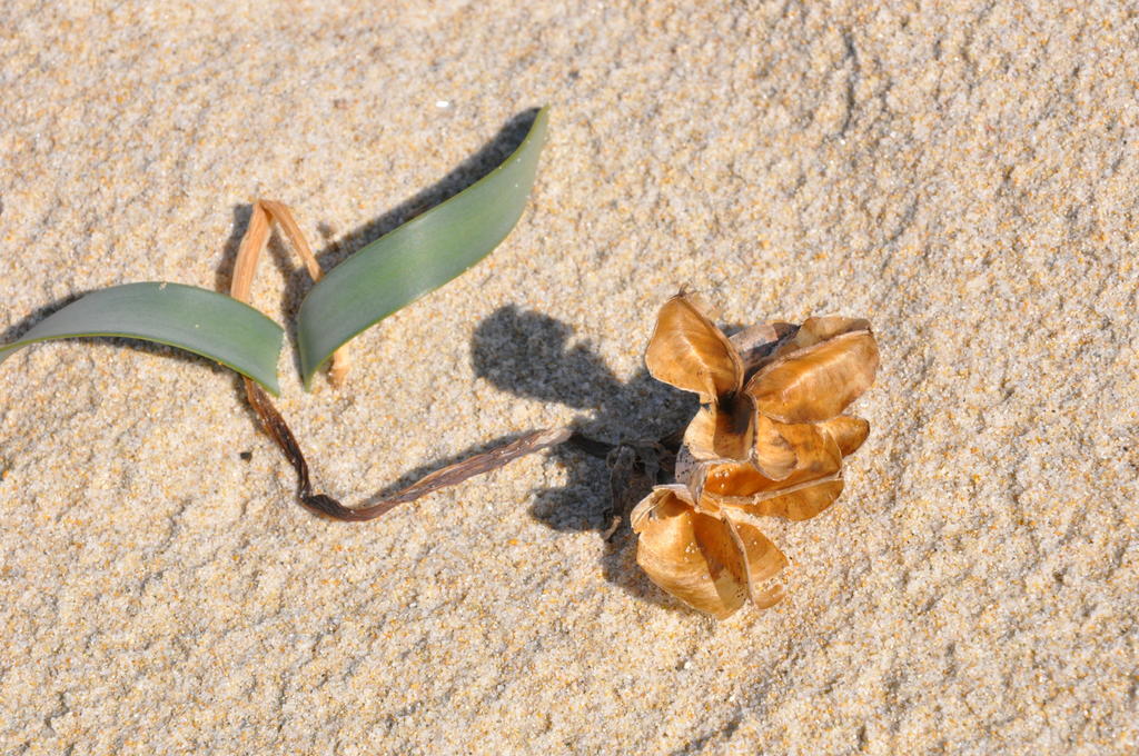 Appartamento Le Ginestre Monte Nai Ngoại thất bức ảnh